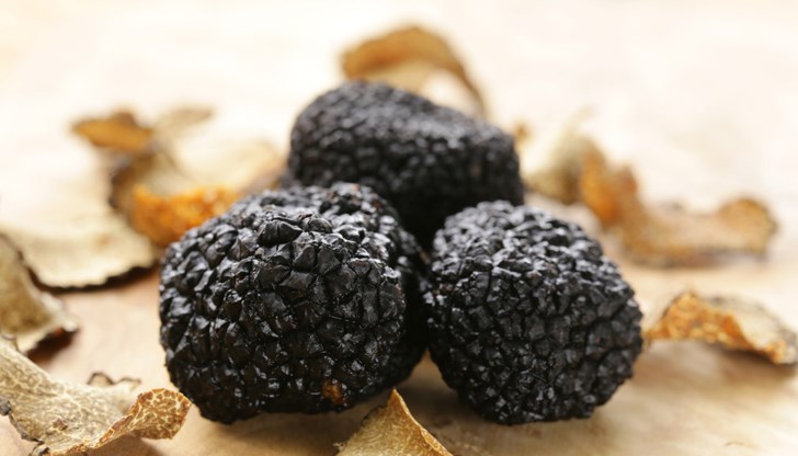 Сдруженията в бранша се обявиха против въвеждането на патентен данък за събирачите на гъби, билки и трюфели Сдруженията в бранша се обявиха против въвеждането на патентен данък за събирачите на гъби, билки и трюфели