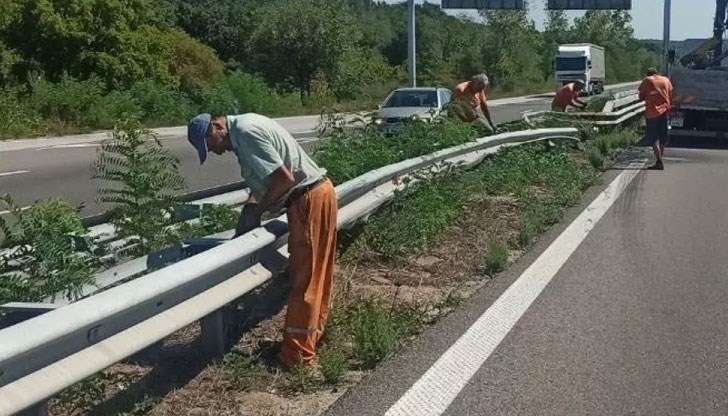 Ще бъде извършен ремонт на мантинелите по аутобана