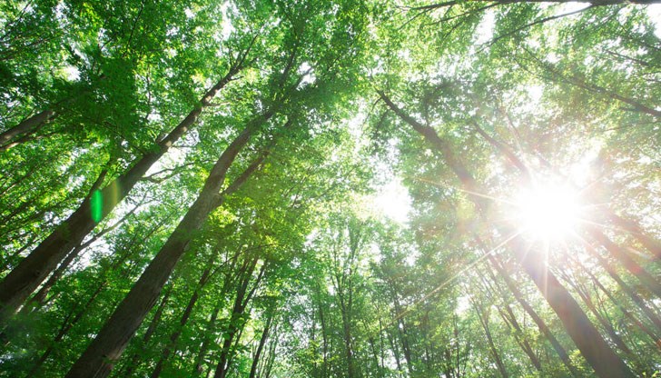 През нощта срещу понеделник ще нахлуе студен въздух През нощта срещу понеделник ще нахлуе студен въздух
