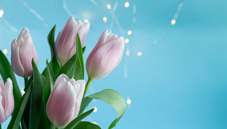 Православната църква на този ден почита паметта на света великомъченица Параскева от Икония Православната църква на този ден почита паметта на света великомъченица Параскева от Икония