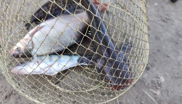 При извършена проверка са открити немаркирани мрежи с дължина 300 метра