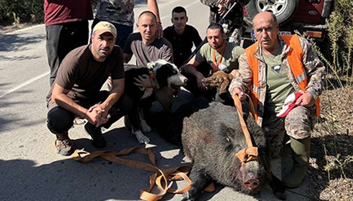 Денят беше изпълнен с много екшън и голямо преследване но накрая всичко свърши със голяма слука