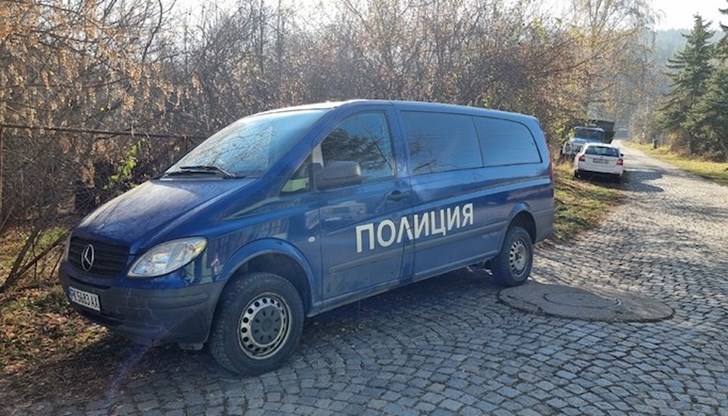 Органите на реда открили изградена оранжерия за отглеждане на канабис