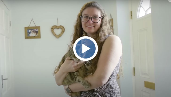 Мъркането на Бела достига до 54,59 децибела