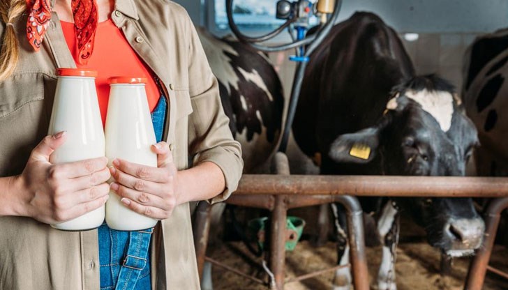 Има недостиг на суровина