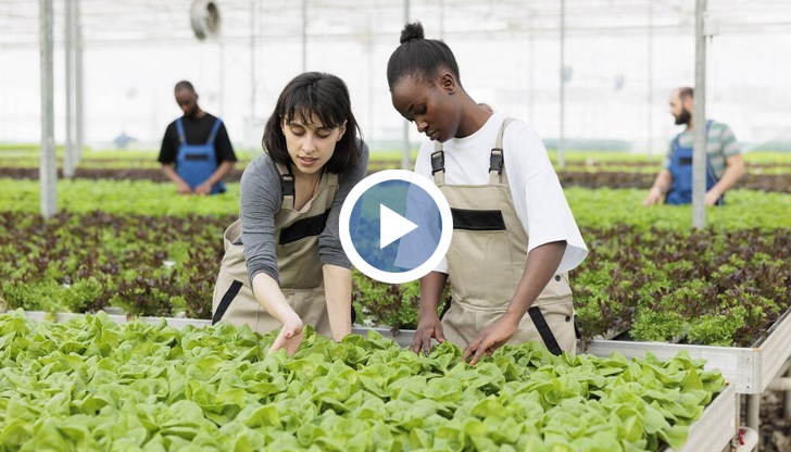 Фирмите се принуждават да предлагат значително по-високо заплащане и бонуси