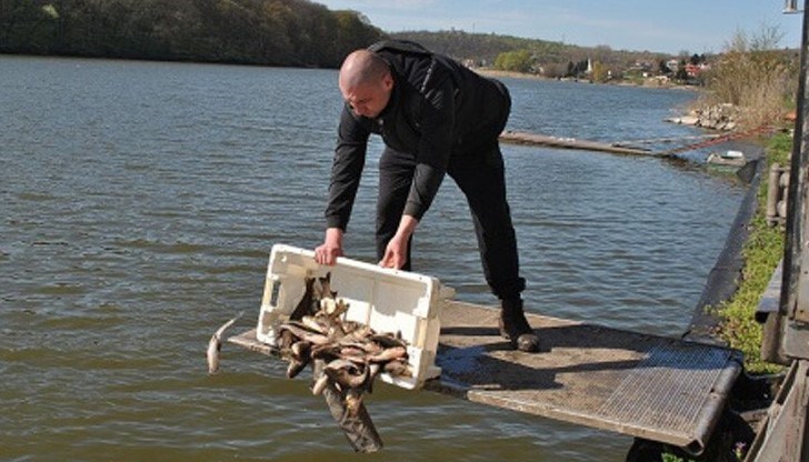 Доброволци възраждат една от позабравените функции на лесопарк „Липник“ – риболов за малки и големи