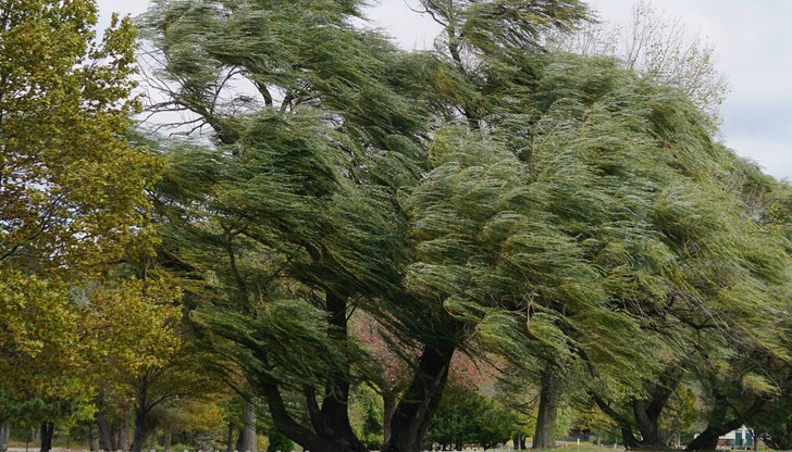 Обявиха жълт код за почти цяла България Обявиха жълт код за почти цяла България