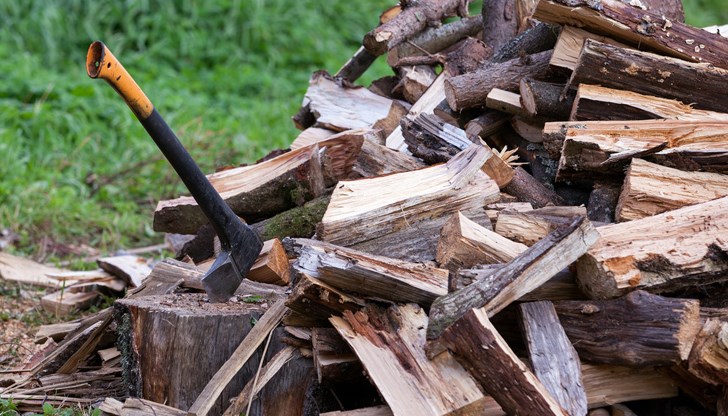 Органите на реда установили един кубик дърва в двора на имот в селото