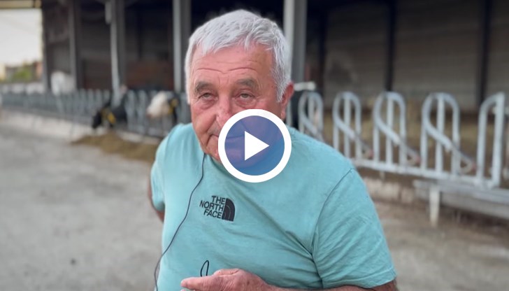 Михаил Михайлов твърди, че е получил около 2,5 милиона лева в кеш в "пликове и торбички"