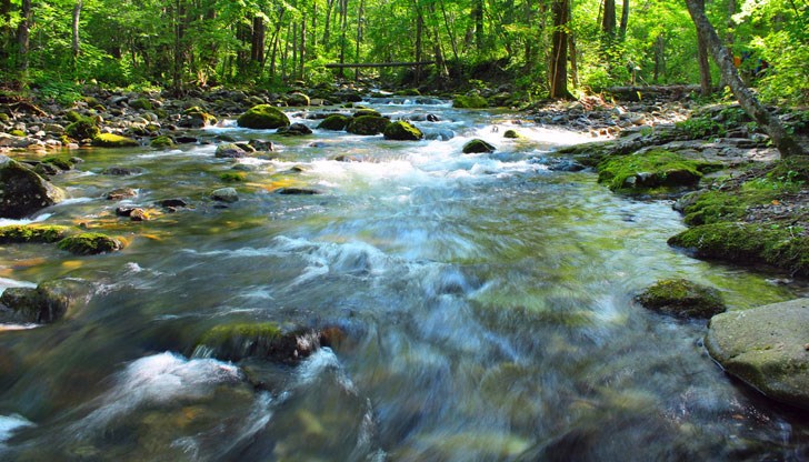 Според подалият сигнала в чувала е имало човешки останки Според подалият сигнала в чувала е имало човешки останки