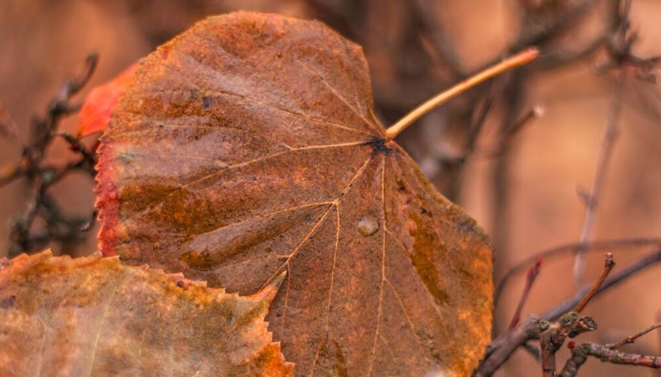 Идват дъжд и ниски температури