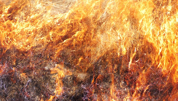 Огънят е тръгнал от ниската част на местността „Герена“