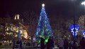 Коледната елха в Русе ще грейне на 1 декември