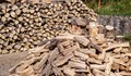 Полицаи установиха два случая на незаконна дървесина в Русенско