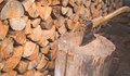 Полицаи откриха половин кубик незаконни дърва в русенско село