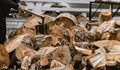 Полицаи откриха незаконни дърва при проверка на имот в Глоджево