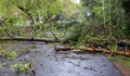 Синоптик: Ураганният вятър значително ще се усили