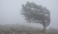 Вятър с над 100 километра в час връхлита Североизточна България