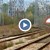 Липса на сигналист е довела до инцидента с прегазените железничари Липса на сигналист е довела до инцидента с прегазените железничари