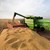 Русия планира да изнесе милиони тонове зърно