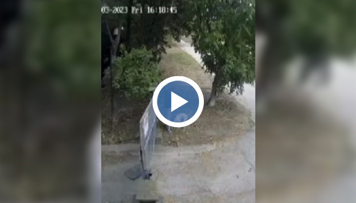 Ето, на това е способна част от човешката раса, написа Николай в социалната мрежа