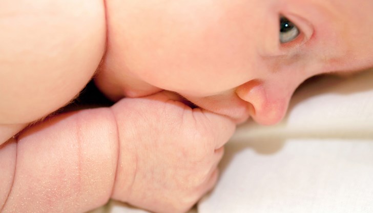 В централното здравно заведение Ал-Шифа вече няма храна, вода и електричество В централното здравно заведение Ал-Шифа вече няма храна, вода и електричество