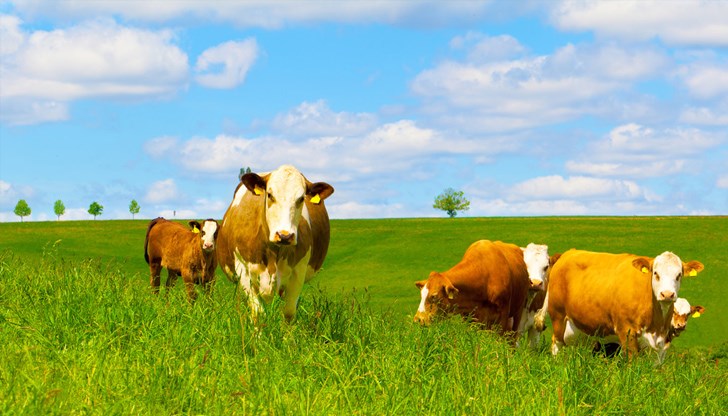 Честито на новодошлите в сивия сектор, иронично коментират работещи в земеделския сектор Честито на новодошлите в сивия сектор, иронично коментират работещи в земеделския сектор