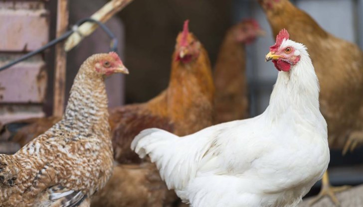 Заседанието се провежда във връзка с указания от страна на БАБХ