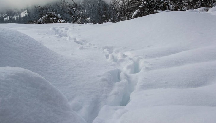 Има опашка от автомобили