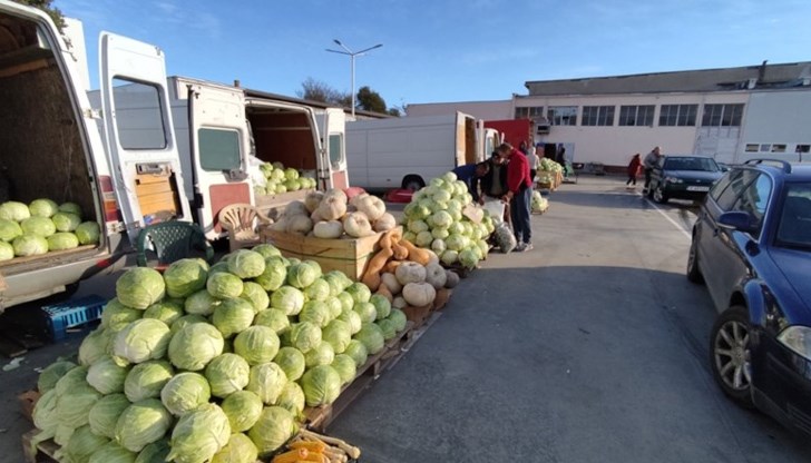 Има различни рецепти за кисело зеле, но най-тънкият момент си остава изборът на подходящия сорт
