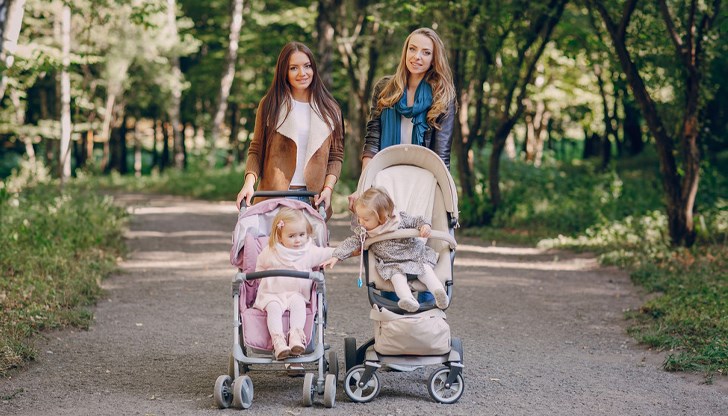 Това показват разчетите в проектобюджета за 2024 година Това показват разчетите в проектобюджета за 2024 година