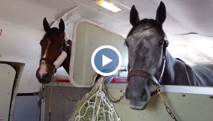 Товарен самолет беше принуден да обърне и да се приземи