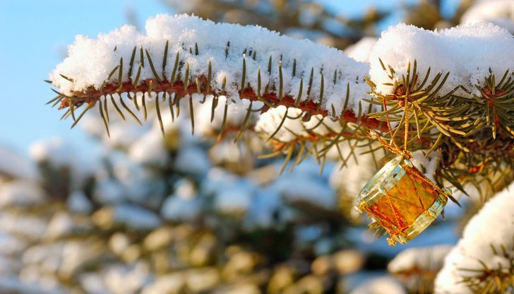 Климатичният феномен беше забелязан миналия юли, като още тогава метеоролозите предупредиха за задаващи се рекордни температури Климатичният феномен беше забелязан миналия юли, като още тогава метеоролозите предупредиха за задаващи се рекордни температури