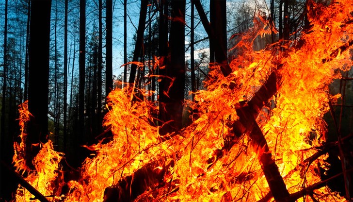 7 сигнала вдигнаха на крак пожарникарите в Русенско