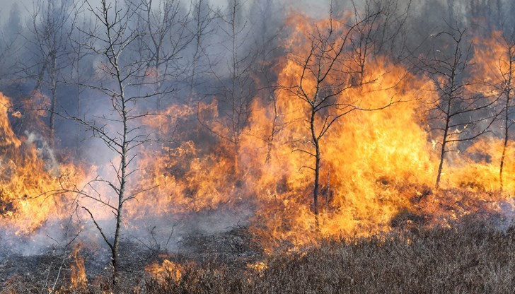 За изминалото денонощие екипите на пожарната са реагирали на 6 сигнала За изминалото денонощие екипите на пожарната са реагирали на 6 сигнала