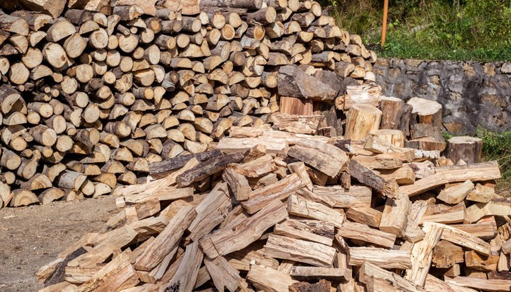 Случаите на дървен материал без документи са в село Малко Враново и град Ветово