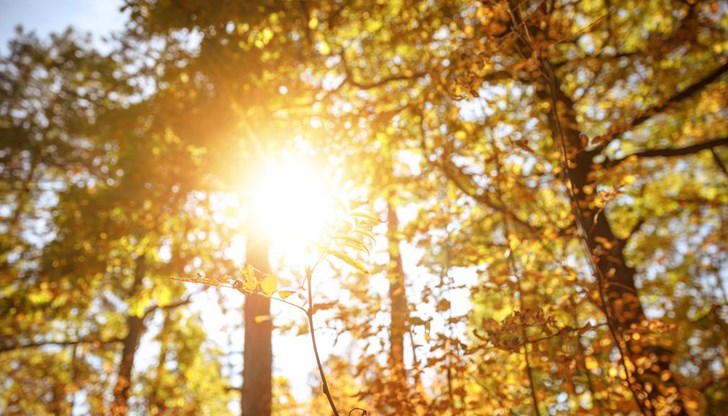 Максималните температури скачат до 16 градуса Максималните температури скачат до 16 градуса