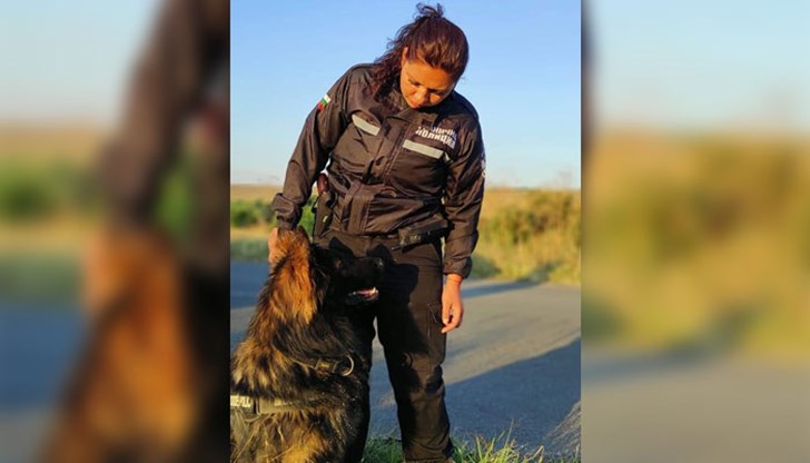 Мигрантите се респектират от Рекс, защото според сунитския и шиитския ислям след ухапване са белязани и трябва да се пречистят Мигрантите се респектират от Рекс, защото според сунитския и шиитския ислям след ухапване са белязани и трябва да се пречистят