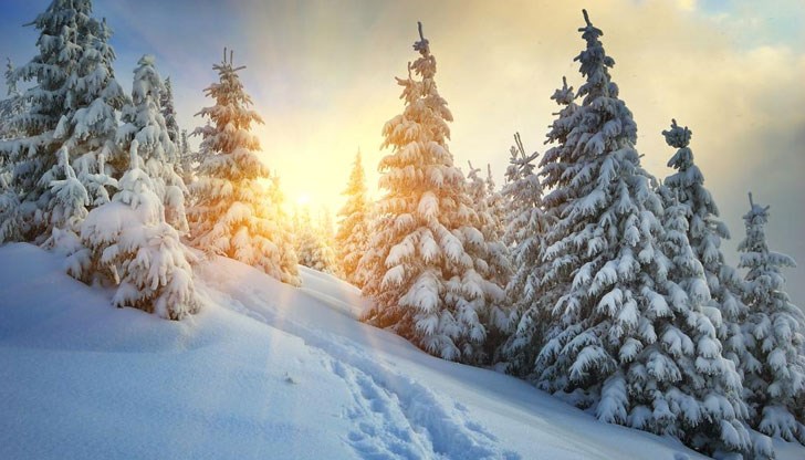 Минималните температури ще паднат до минус 11 градуса Минималните температури ще паднат до минус 11 градуса