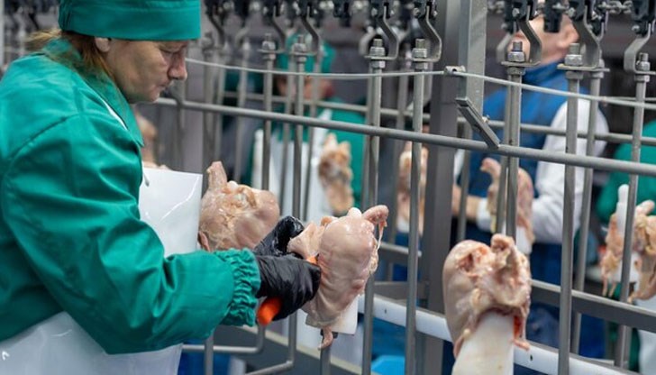 Работят 10 години, за да вземат пенсия от чужбина Работят 10 години, за да вземат пенсия от чужбина