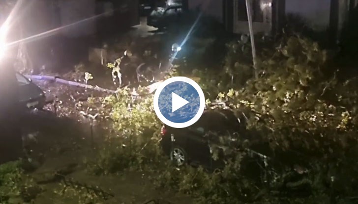 Откършил се клон на дърво е паднал върху нея