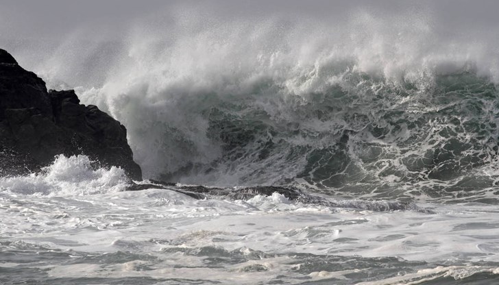 Морето вади дървета, които със сила се удрят в лодките Морето вади дървета, които със сила се удрят в лодките