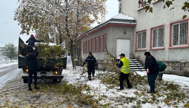 Всички автобусни линии в града се обслужват от електробуси и автобуси