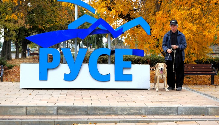 Към 16:00 часа вчера под 16% от гласоподавателите в града са отишли до урните