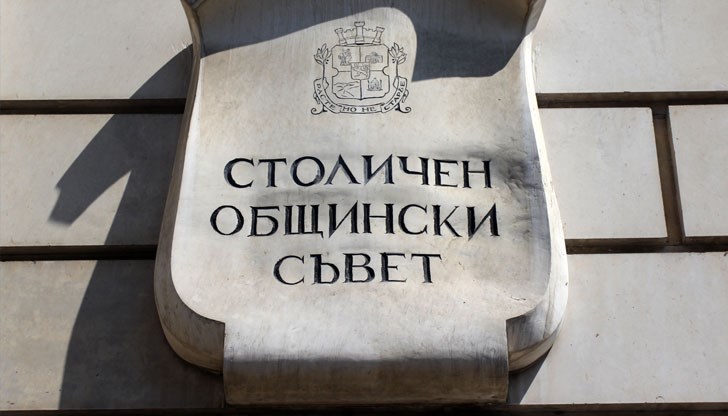 Ваня Григорова ще положи клетва като общински съветник