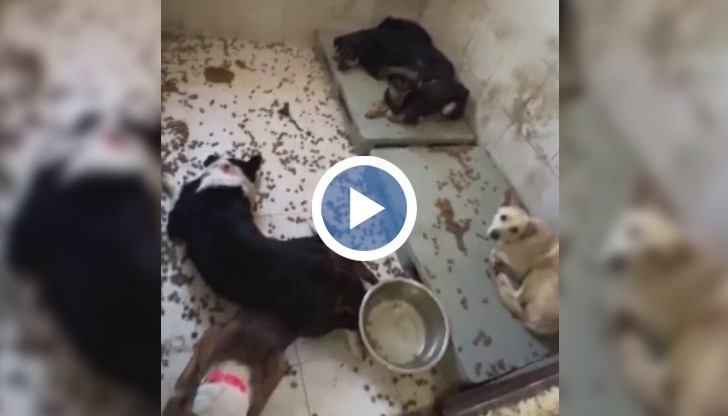 Доброволец успява да влезе там на проверка, а резултатите са шокиращи