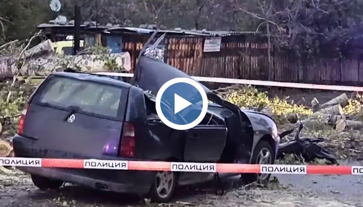Мъж почина след като дърво падна върху автомобила му