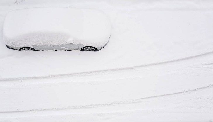 Има подадени сигнали за паднали дървета по пътя Силистра - Русе