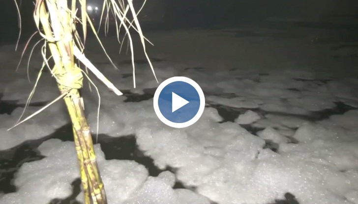 Токсична пяна покри свещената река Ямуна в Индия